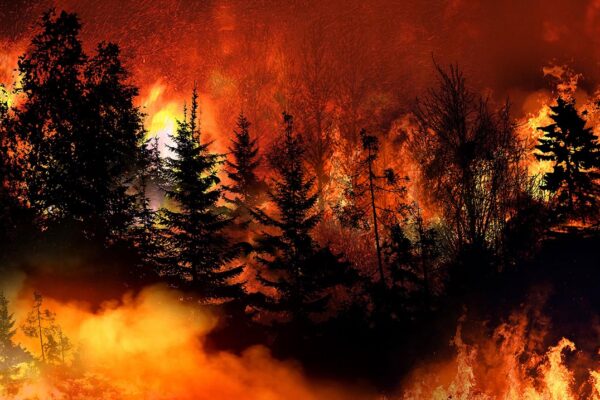 wildfires