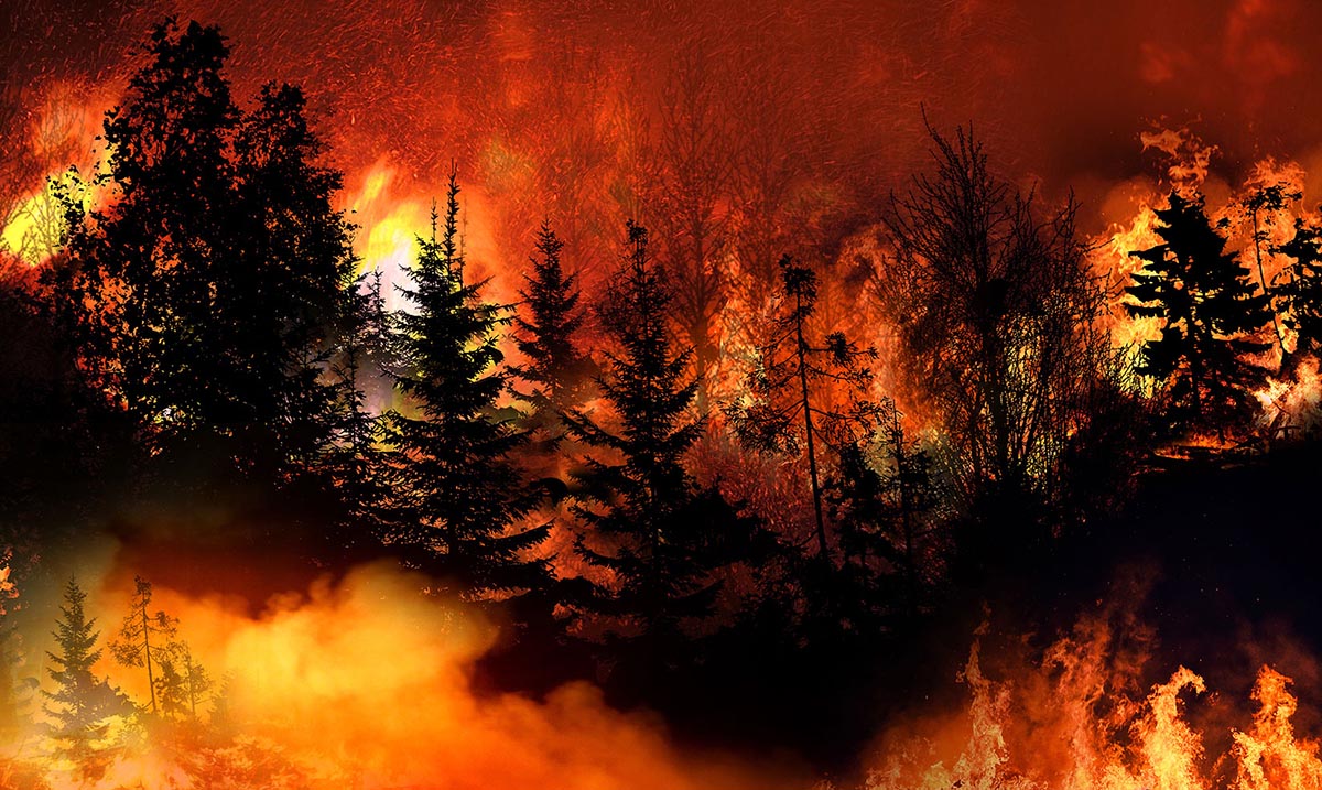 wildfires